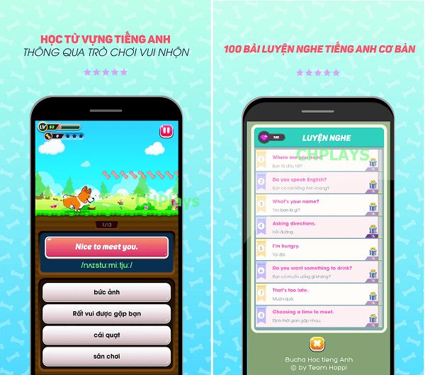 app bucha học tiếng anh, app bucha hoc tieng anh