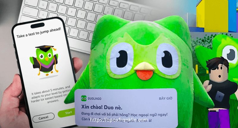 App học tiếng Anh cho người mất gốc miễn phí Duolingo