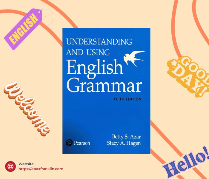 understanding and using english grammar

