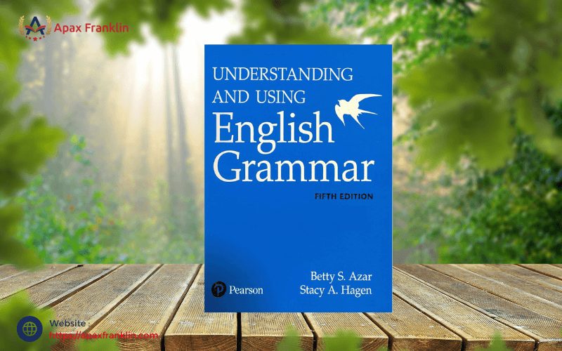 understanding and using english grammar